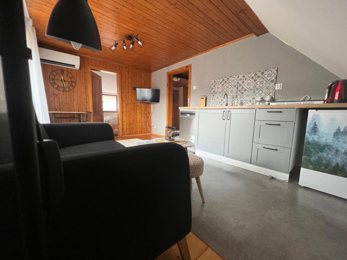 Przy Stoku I Potoku Apartment Wisla Luaran gambar
