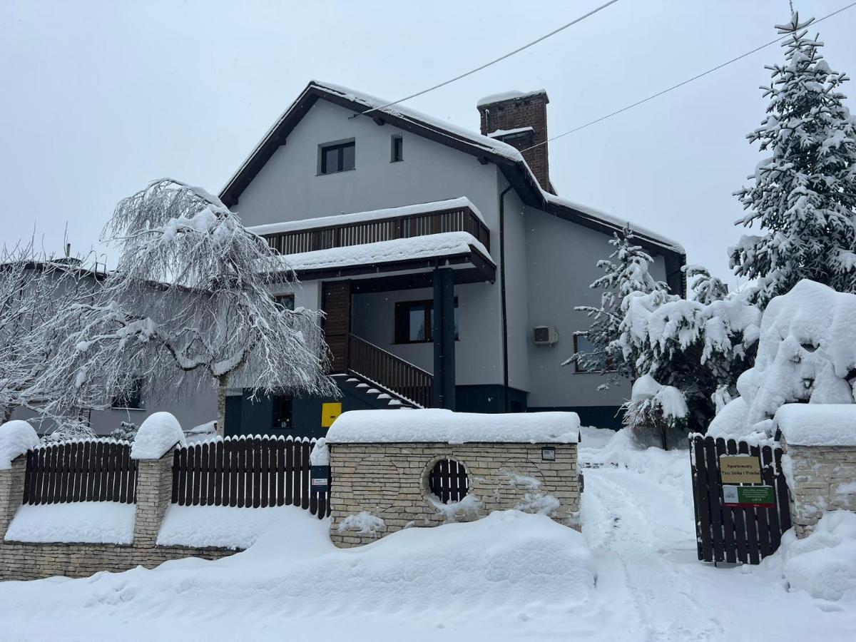 Przy Stoku I Potoku Apartment Wisla Luaran gambar