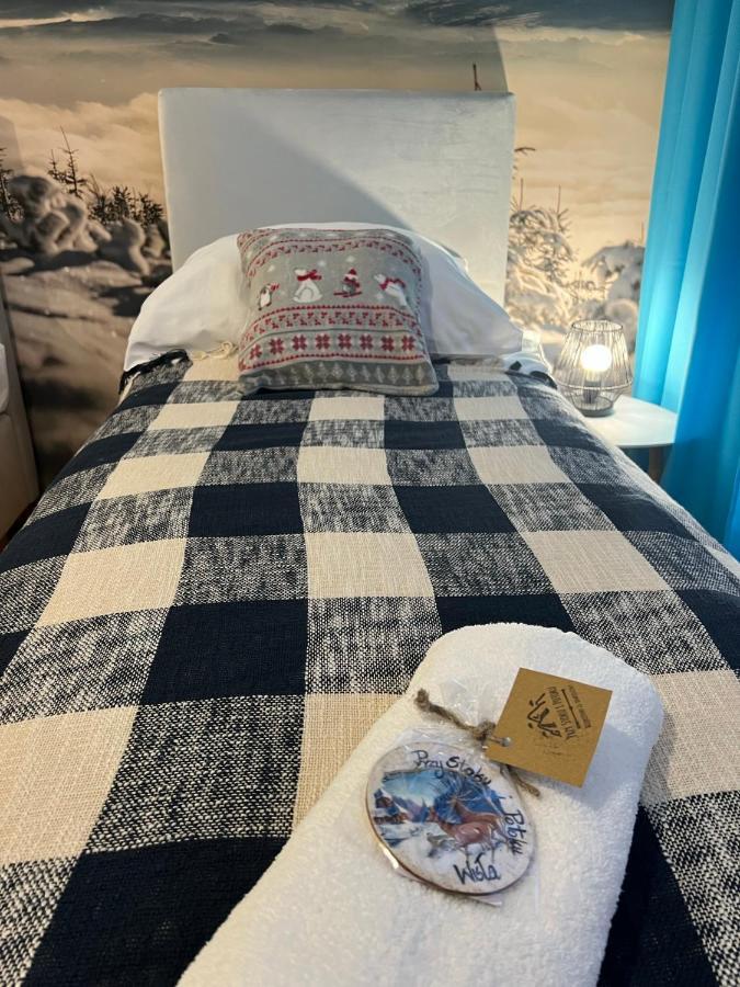 Przy Stoku I Potoku Apartment Wisla Luaran gambar