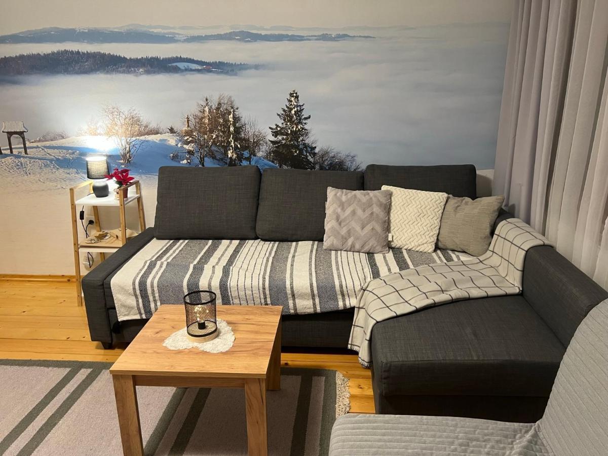 Przy Stoku I Potoku Apartment Wisla Luaran gambar