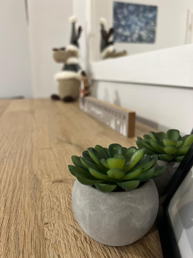 Przy Stoku I Potoku Apartment Wisla Luaran gambar