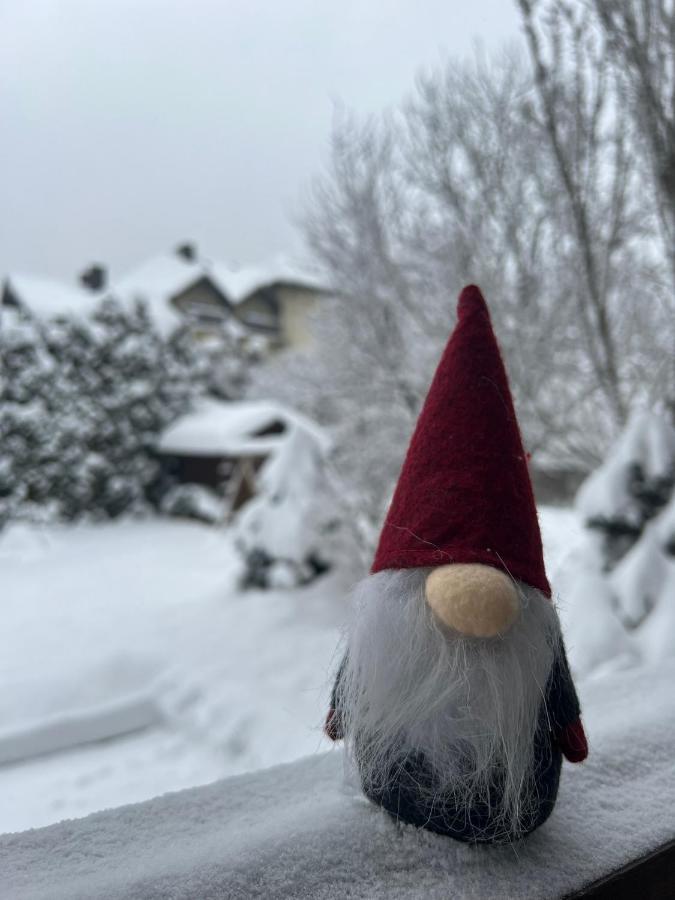 Przy Stoku I Potoku Apartment Wisla Luaran gambar